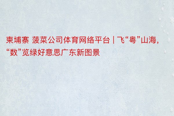 柬埔寨 菠菜公司体育网络平台 | 飞“粤”山海，“数”览绿好意思广东新图景