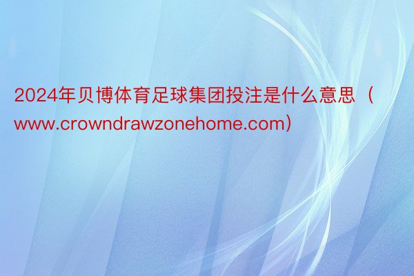 2024年贝博体育足球集团投注是什么意思（www.crowndrawzonehome.com）